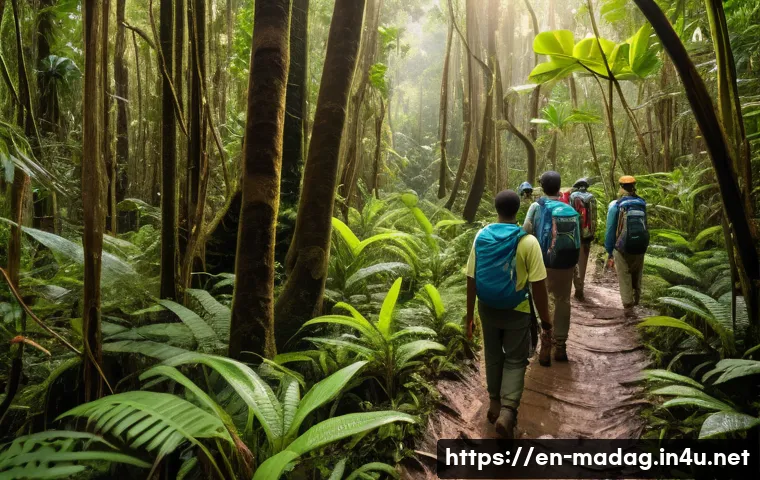 마다가스카르에서 피해야 할 장소 - A detailed scene of a dense Madagascar rainforest trail in Masoala National Park during daytime, fea...