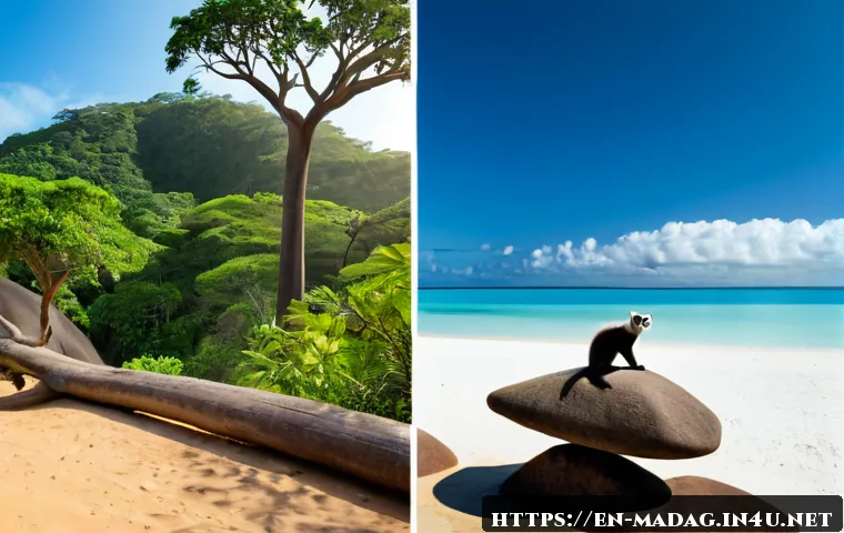 마다가스카르 vs 세이셸 여행 추천 - Photorealistic split-screen travel comparison, left side Madagascar: lush rainforest trail with a ri...