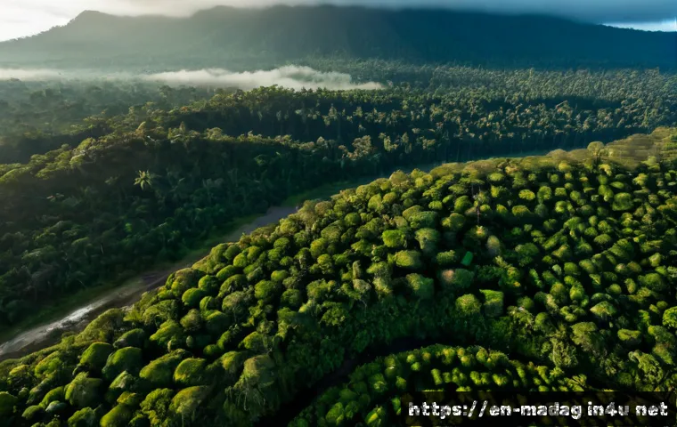 마다가스카르 삼림 벌채와 자연보호 - Photorealistic aerial view of Madagascar’s eastern rainforest edge, a sharp but natural contrast bet...